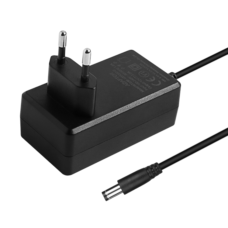 36W Wall Mounted Power Adapter