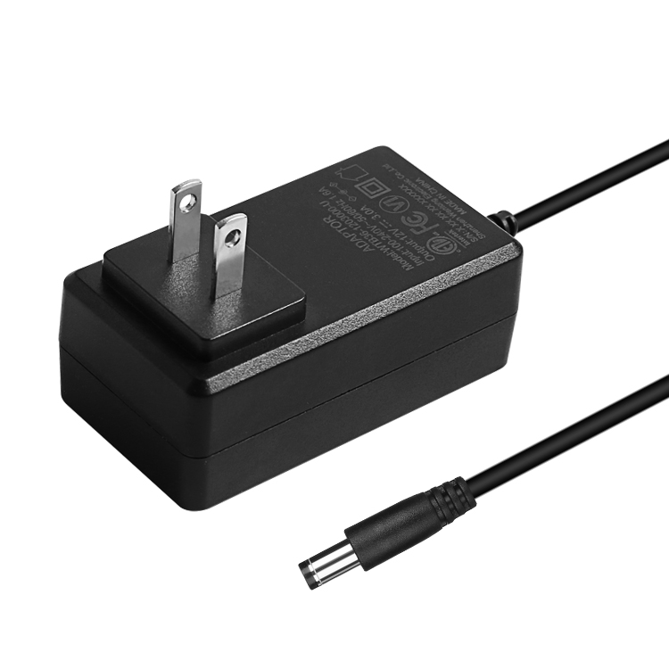 36W Wall Mounted Power Adapter