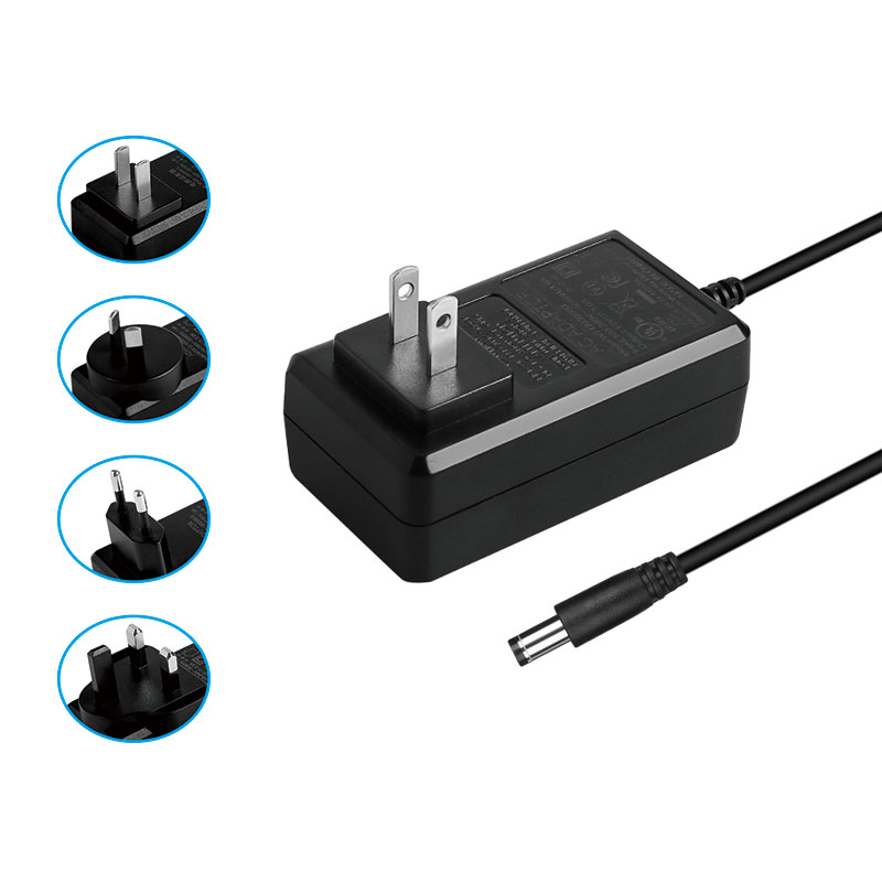 48W Plug In Power Adapter