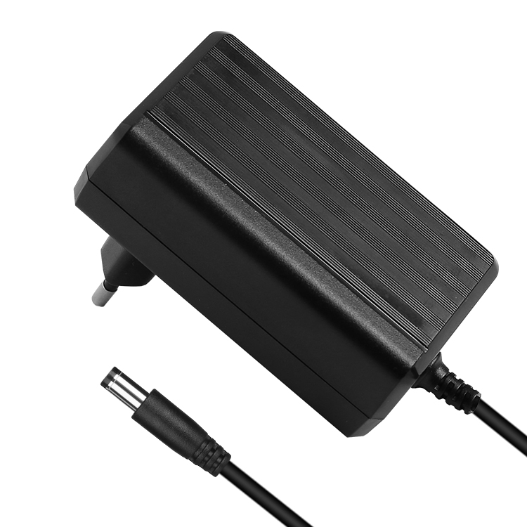 48W Plug In Power Adapter