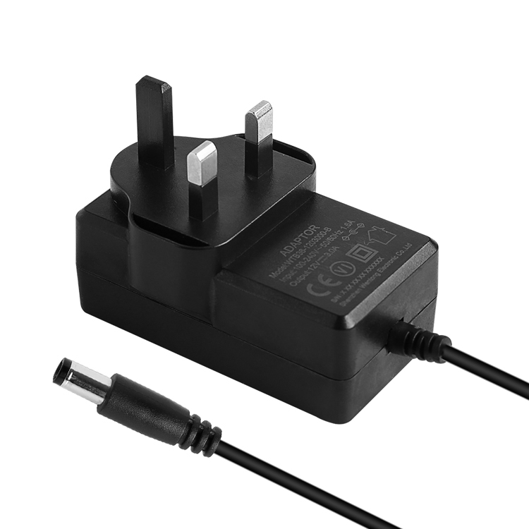 36W Wall Mounted Power Adapter