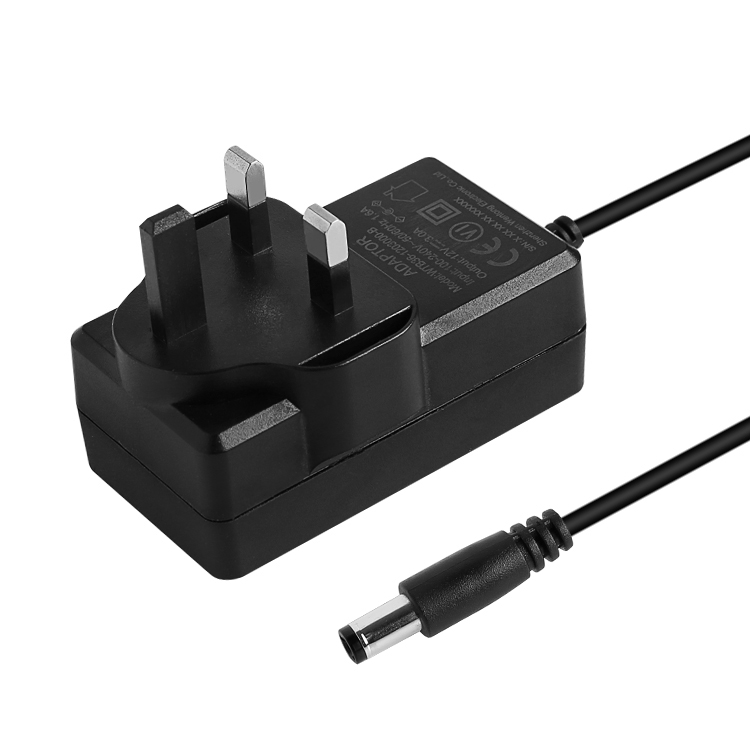 36W Wall Mounted Power Adapter