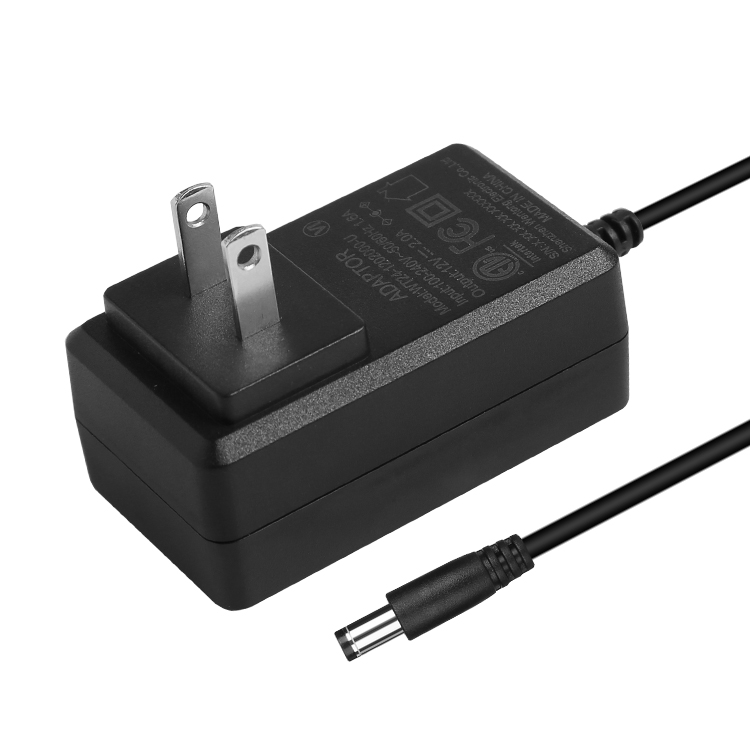 24W Wall Mounted Power Adapter