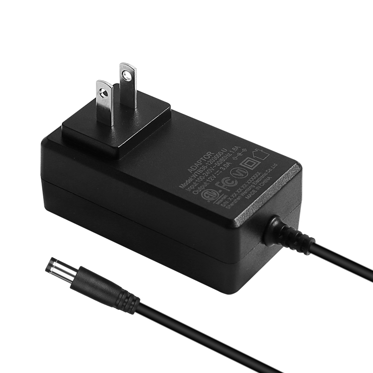 36W Wall Mounted Power Adapter
